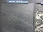 Marine Black Honed - PREM MARBLES